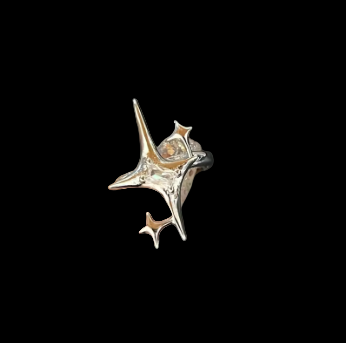 Fallen Stars Ring