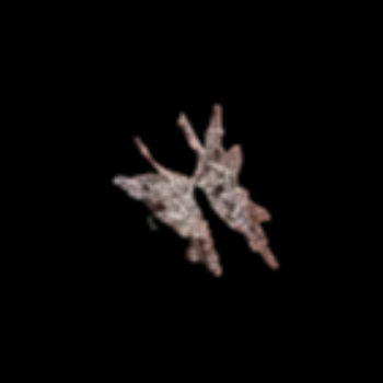 Silver Butterfly Ring